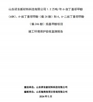 山東祥東新材料科技有限公司1.2萬噸/年6-叔丁基鄰甲(60K)、4-叔丁基鄰甲酚(偏 24 酚)和 4，6-二叔丁基鄰甲酚(偏 246 酚)烷基甲酚項目竣工環(huán)境保護驗收監(jiān)測報告